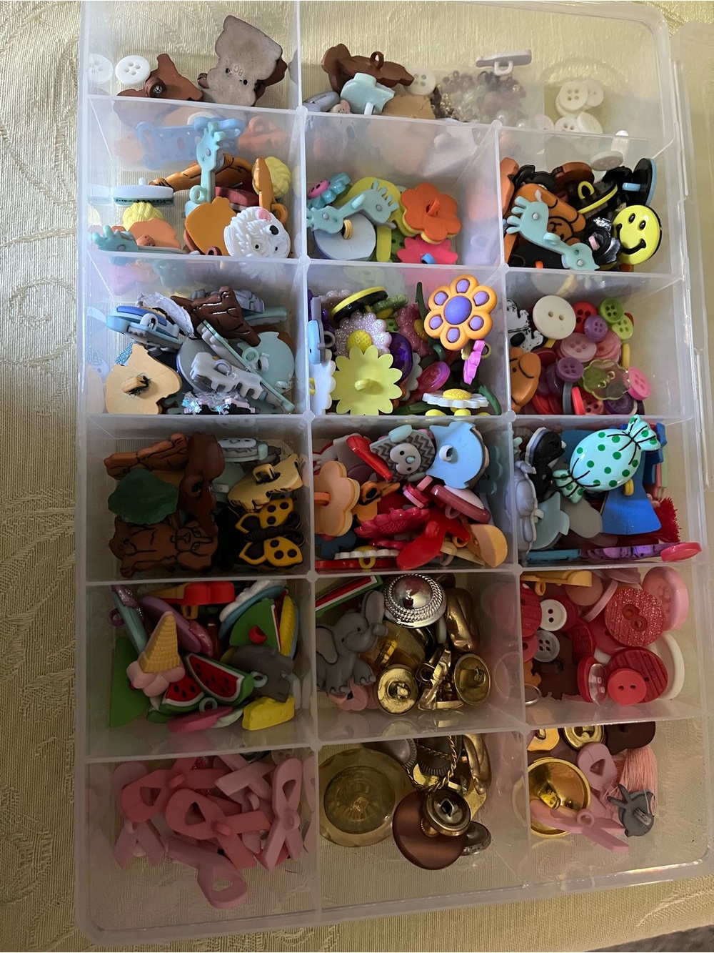 Assorted Colorful Craft Buttons and Charms Organizer